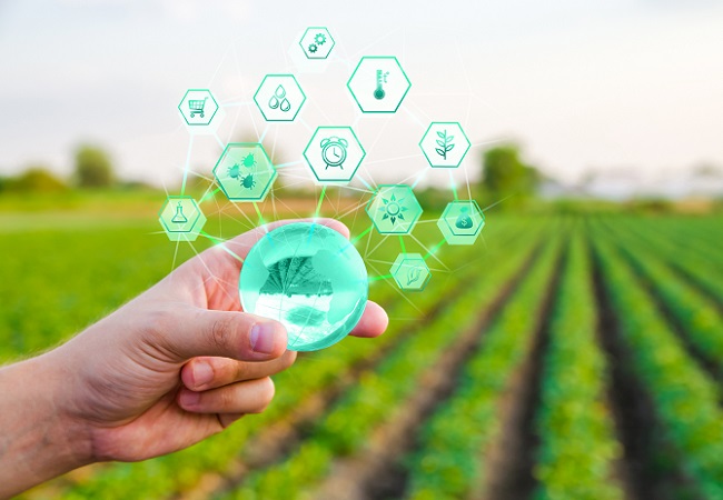 安徽桐城：智慧農業(yè)助力鄉(xiāng)村振興